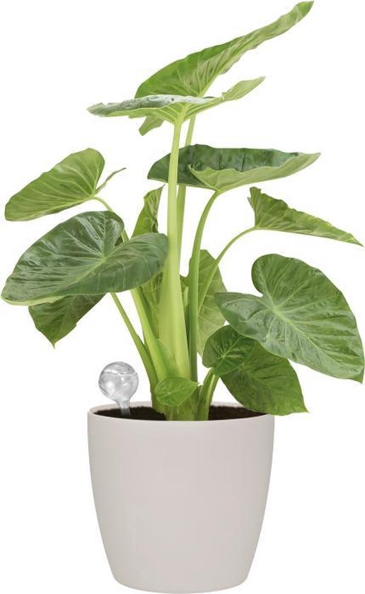 Elho Aqua Care 9 Waterdruppelaar voor Planten