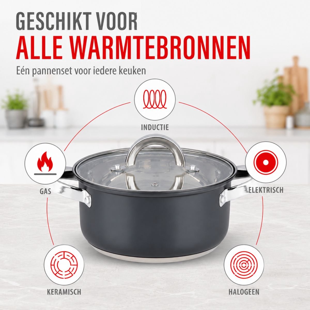 Alpina Inductie Pannenset 7-Delig