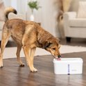 Petsafe Drinkfontein - 4,1 Liter, Stille Pomp, Dubbele Filtratie