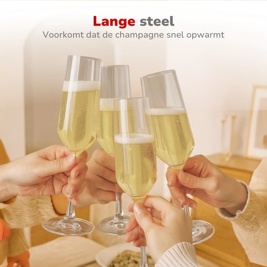 Alpina Champagne Glazen Flûte 220 Milliliter 6 Stuks