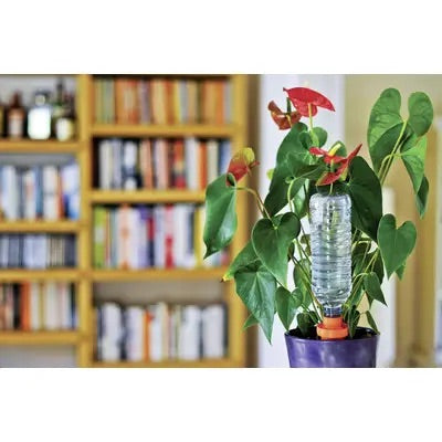 Aquasolo 3+1 set small