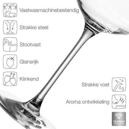 Leonardo PUCCINI witte wijnglazen - 400 ml - set/6