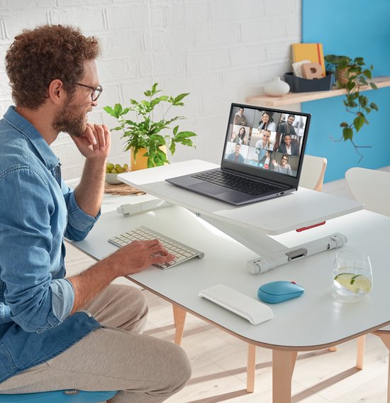 Leitz Ergo Cosy
