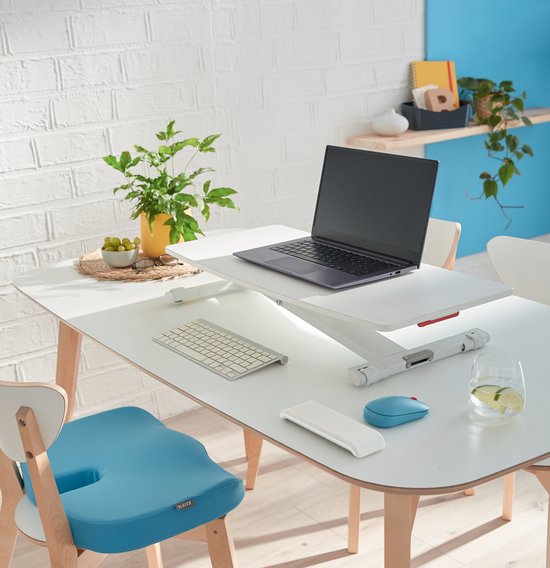 Leitz Ergo Cosy