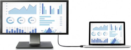 Renkforce HDMI / DisplayPort Anslutningskabel 1.00 m