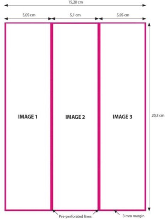 DNP Papier 2 Rollen 15x20 cm voor DS620