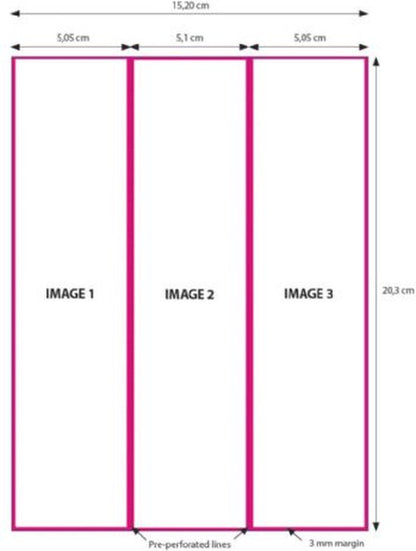 DNP Papier 2 Rollen 15x20 cm voor DS620