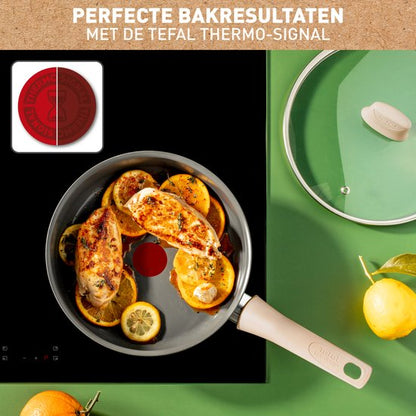 Tefal Revive Hapjespan Ø24 cm Met Deksel