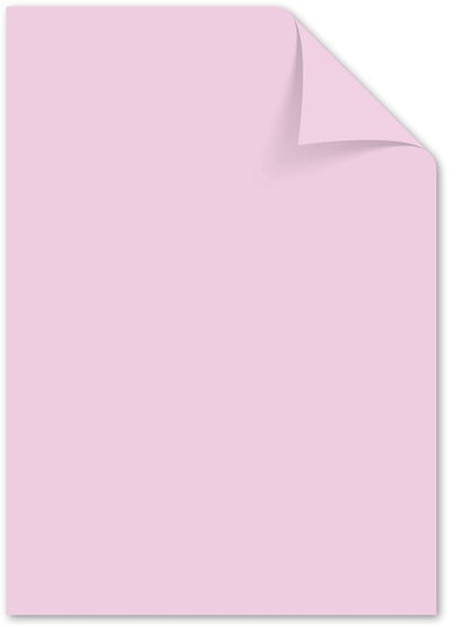 Kangaro gekleurd papier