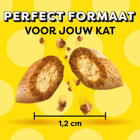 Catisfactions Kattensnacks Variety Snack Box Kip & Kaas & Zalm 12x60g