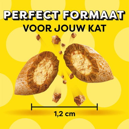 Catisfactions Kattensnacks Variety Snack Box Kip & Kaas & Zalm 12x60g